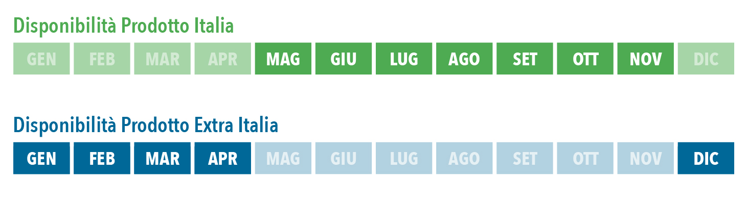 mag_nov
