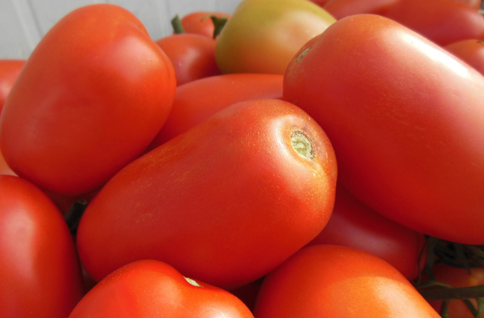 Pomodoro Oblungo