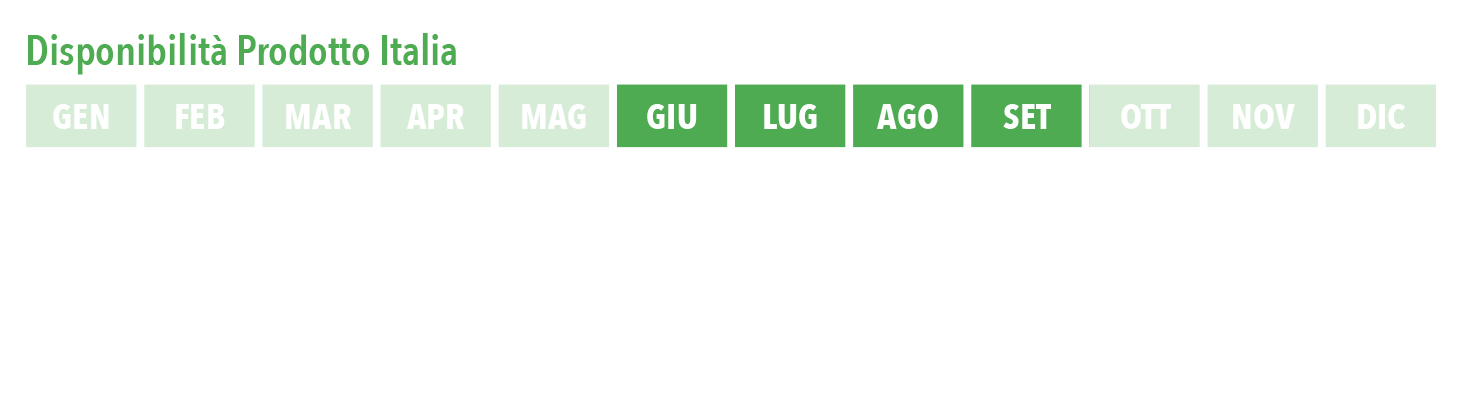 giug_sett