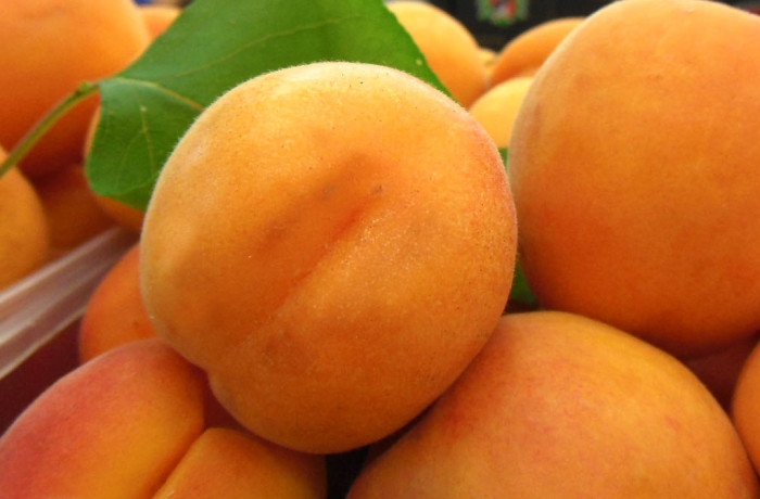 Apricots