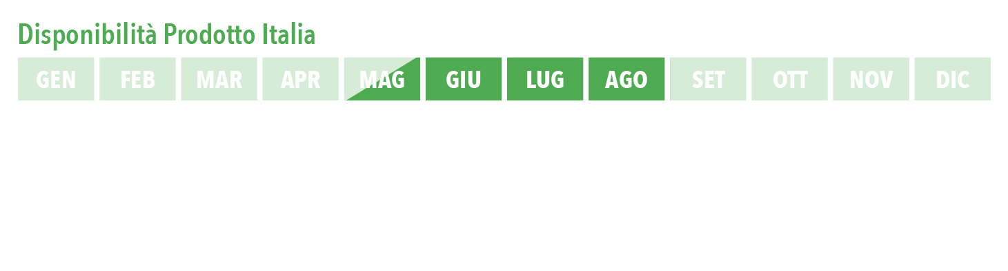 metàmagg_ago