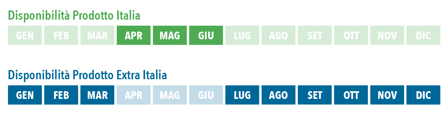 apr_giug