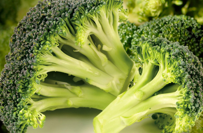 Broccolo