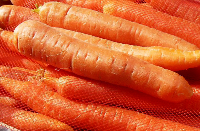 Carota