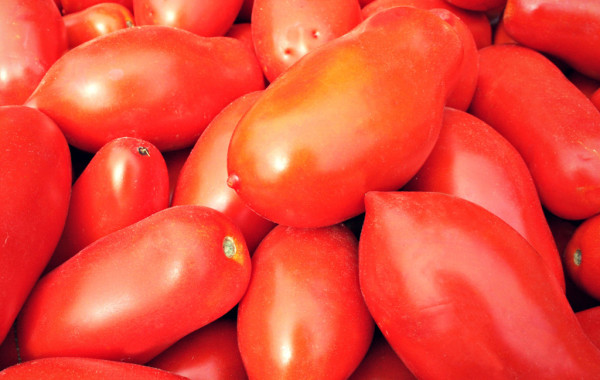 Pomodoro da salsa