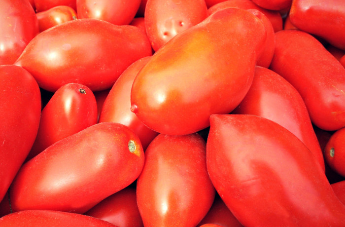 Pomodoro da salsa