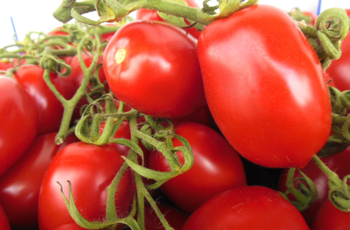 Pomodoro Datterino