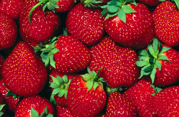 Fragola
