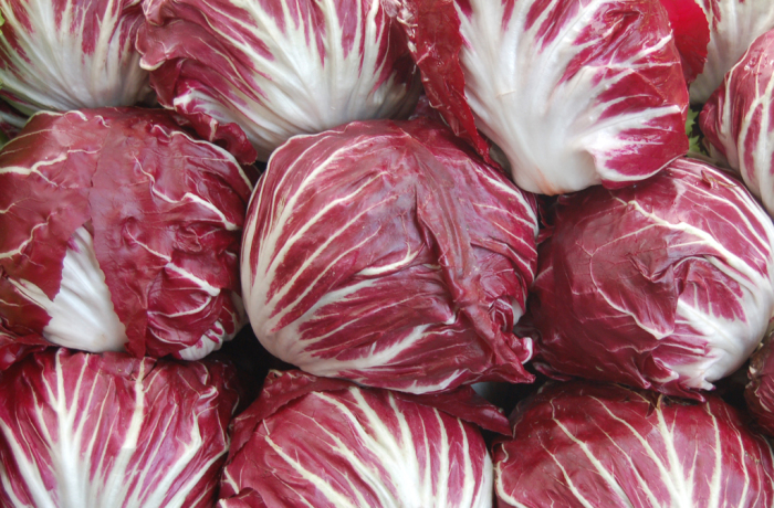 Radicchio di Chioggia