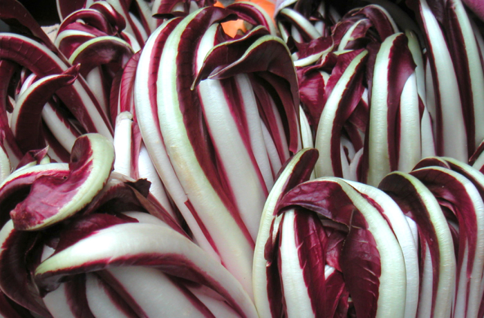 Radicchio Tardivo di Treviso