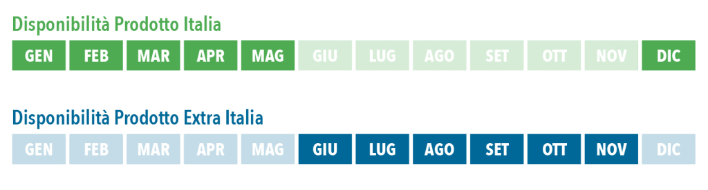 dic_mag