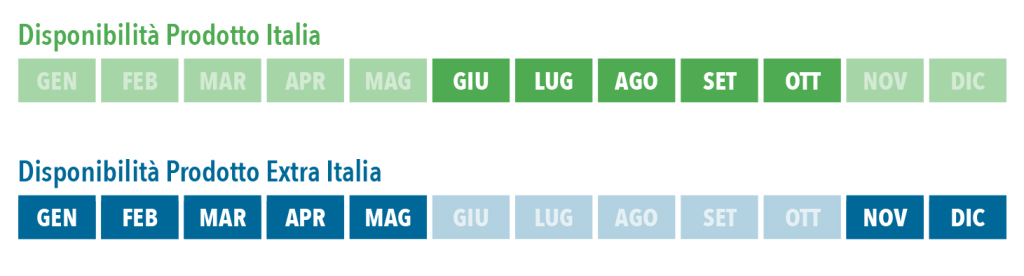 giug_ott