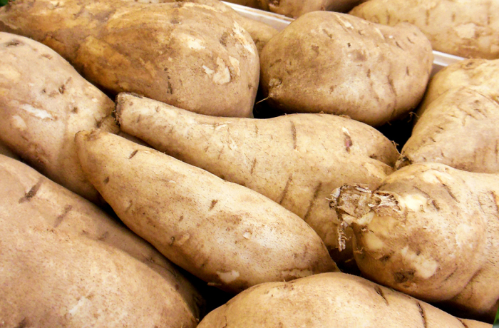 Patata americana