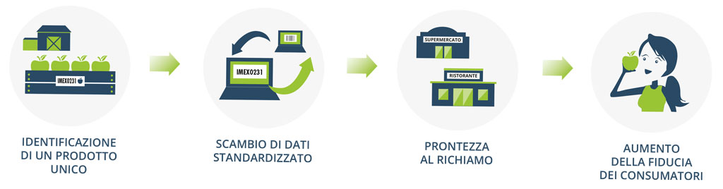 gregorelli-certificazioni-schema